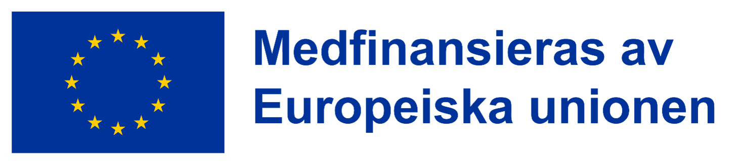 EU-logotypen och text medfinansieras av Europeiska unionen.