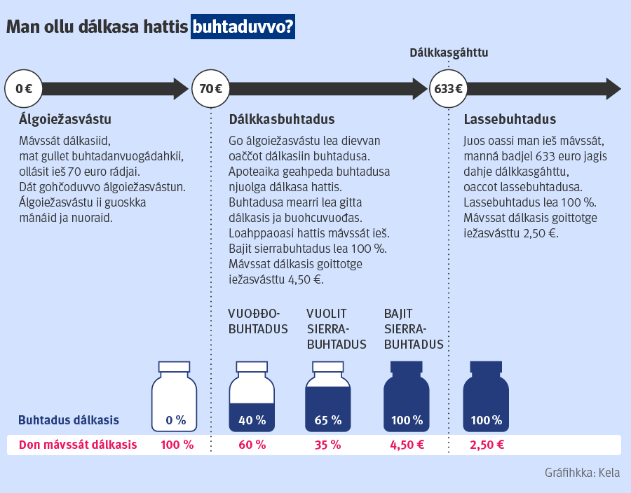 Govas čilgejuvvo, man ollu dálkasa hattis buhtaduvvo. Oaččot dálkasiin Kela buhtadusa dan maŋŋá, go álgoiežasvástu lea dievvan. Álgoiežasvástu lea 70 euro kaleandarjagis. Mávssát dálkasiid ollásit ieš dan rádjai. Álgoiežasvástu ii guoskka mánáid iige nuoraid. Álgoiežasvásttu dievvama maŋŋá oaččot dálkkasbuhtadusa. Vuođđobuhtadus lea 40 proseantta dálkasa hattis. Muhtun dálkasiin sáhtát oažžut sierrabuhtadusa, mii lea stuorát go dábálaš buhtadus. Vuolit sierrabuhtadus lea 65 proseantta. Bajit sierrabuhtadus lea 100 proseanta, ja mávssát dálkasis 4,50 euro. Jos gártat oastit ollu dálkasiid, sáhtát oažžut dálkkasgoluin lassebuhtadusa. Oaččot lassebuhtadusa, jos oasit maid mávssát ieš, mannet badjel 633 euro jagis dahje dálkkasgáhtu. Loahppa jagi mávssát juohke dálkasis dušše 2,50 euro.